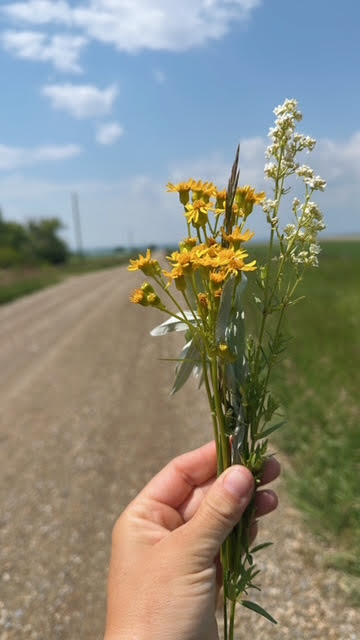 The Energy of Spring: Nature’s Invitation to Begin Again