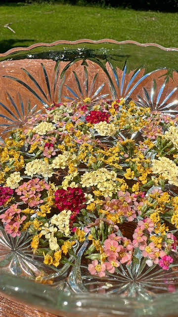 Flower Essences