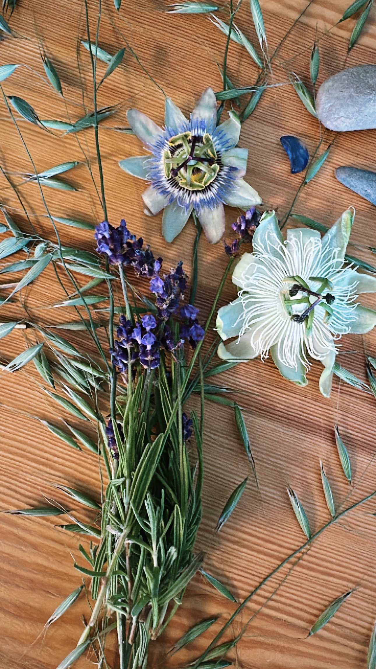 Slumber Song - Herbal Sleep Tincture for Rest, Calm, and Dreamtime