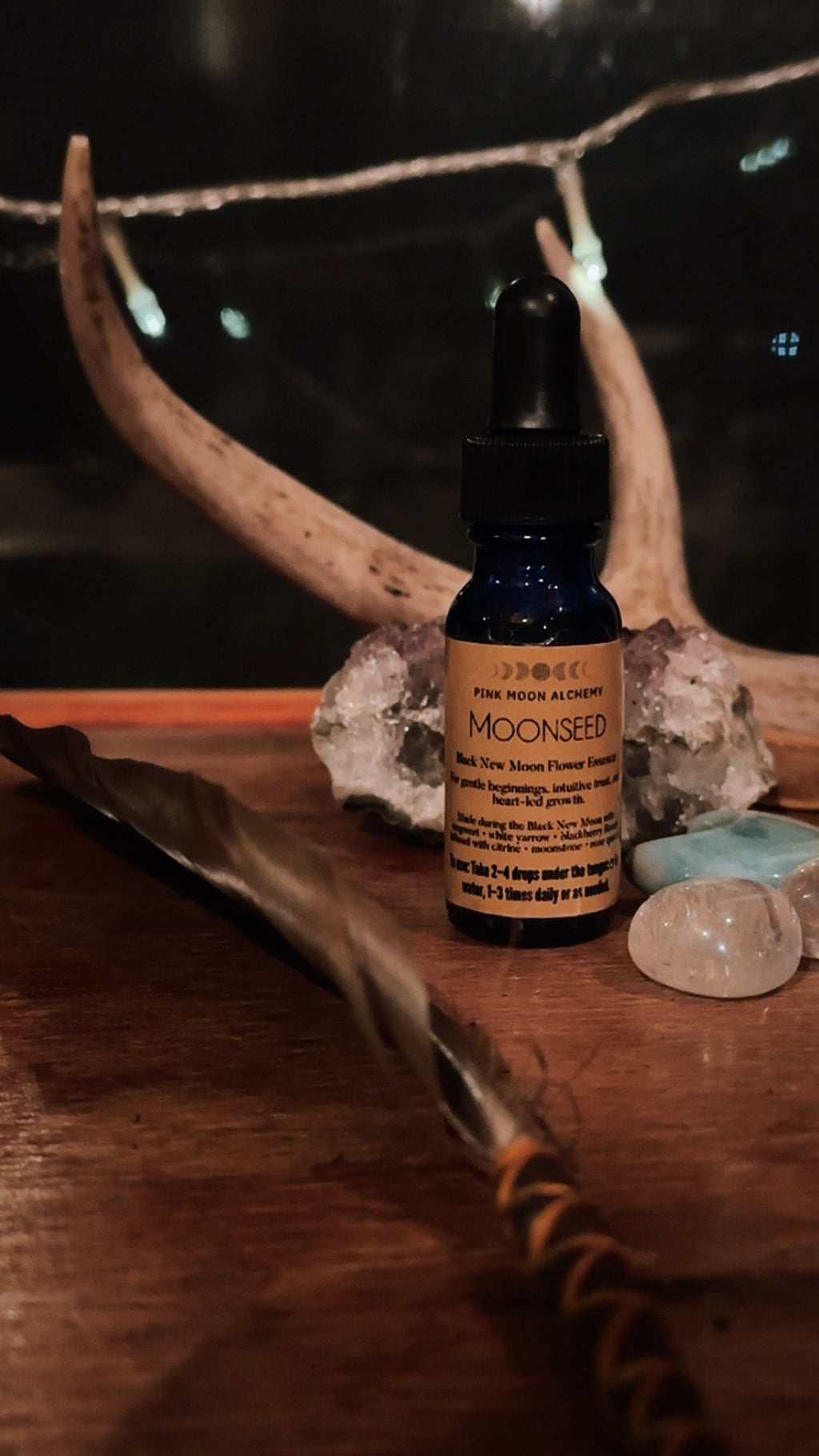 Moonseed – Black New Moon Flower Essence