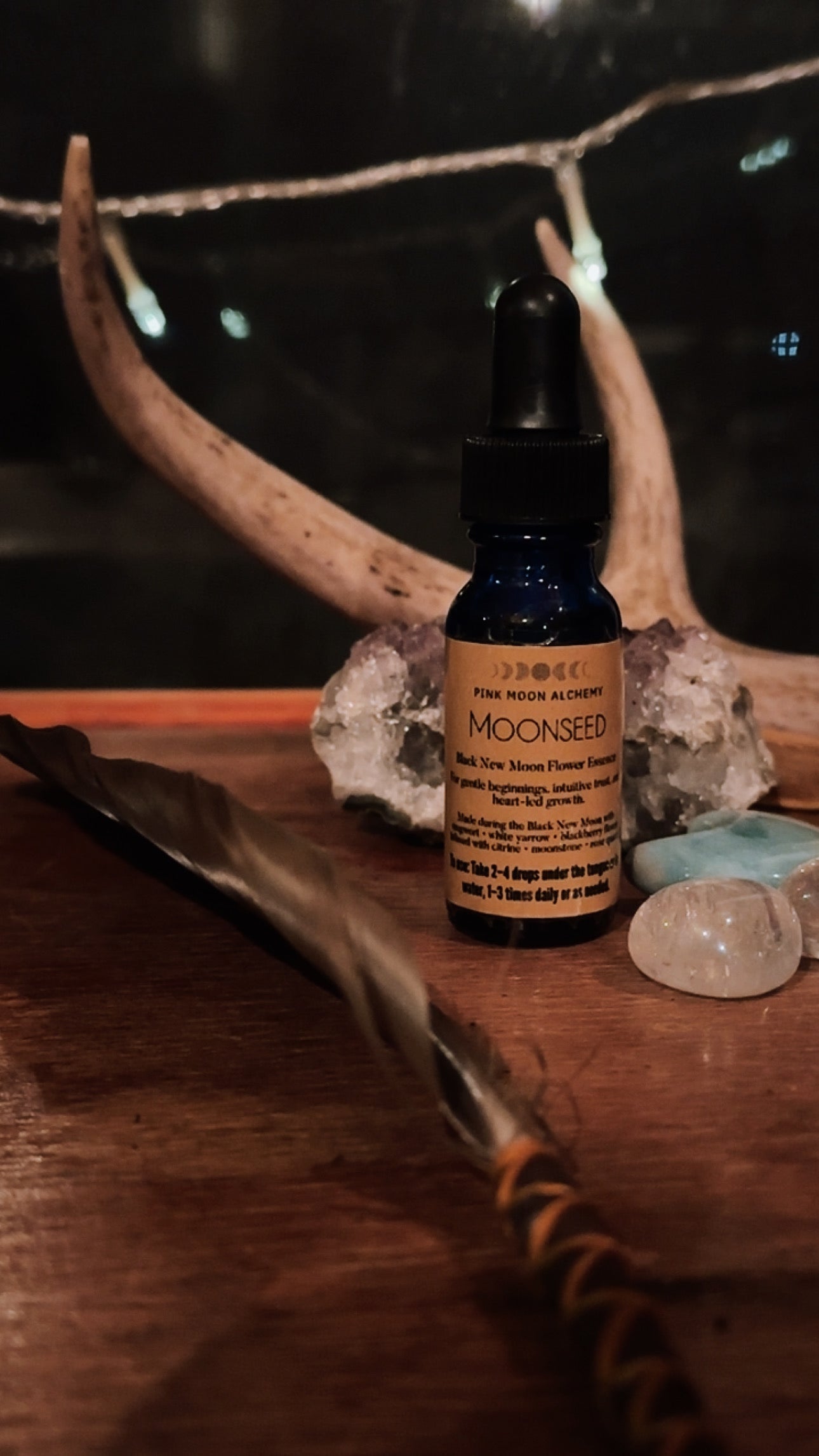 Moonseed – Black New Moon Flower Essence