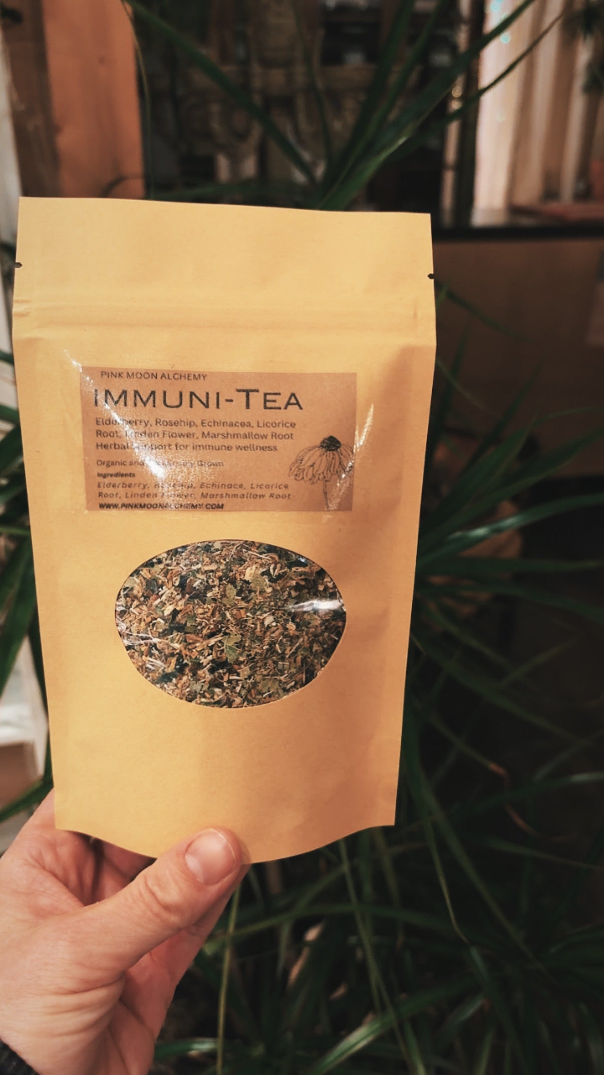 Immuni-Tea | Herbal Support for Immune Wellness