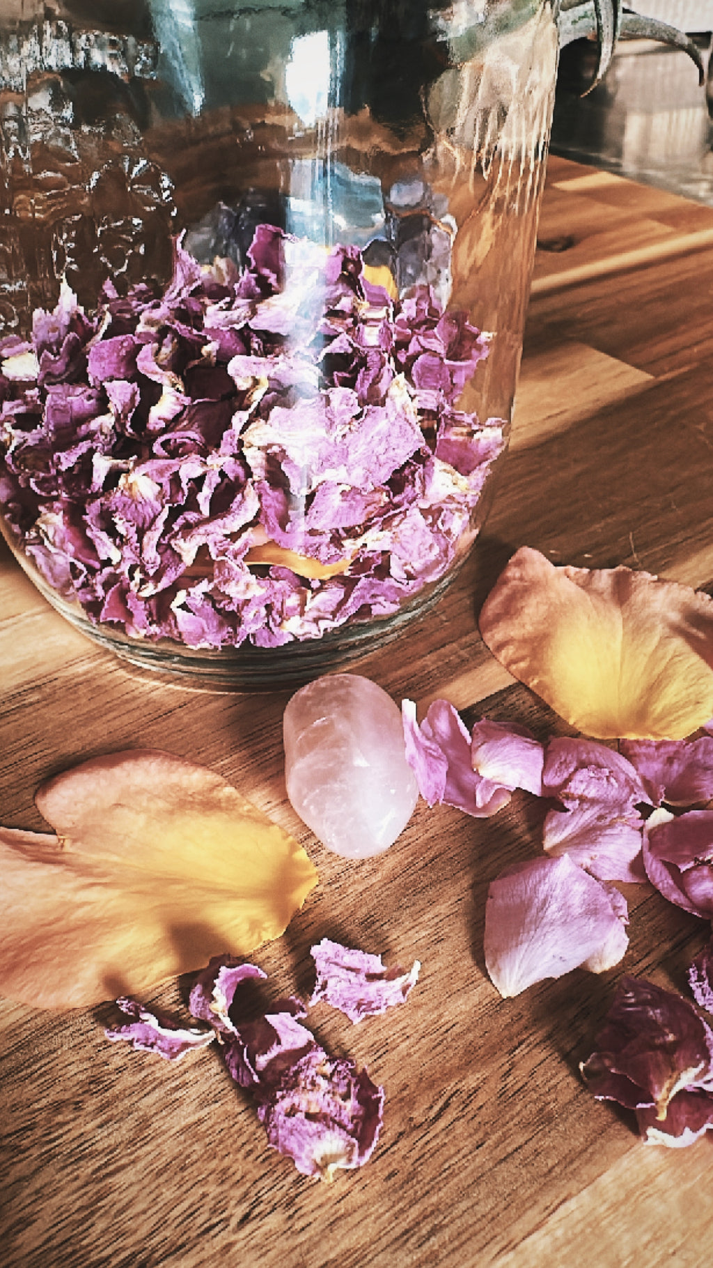 Tender Heart – Herbal Support for Grief, Love, and Emotional Healing
