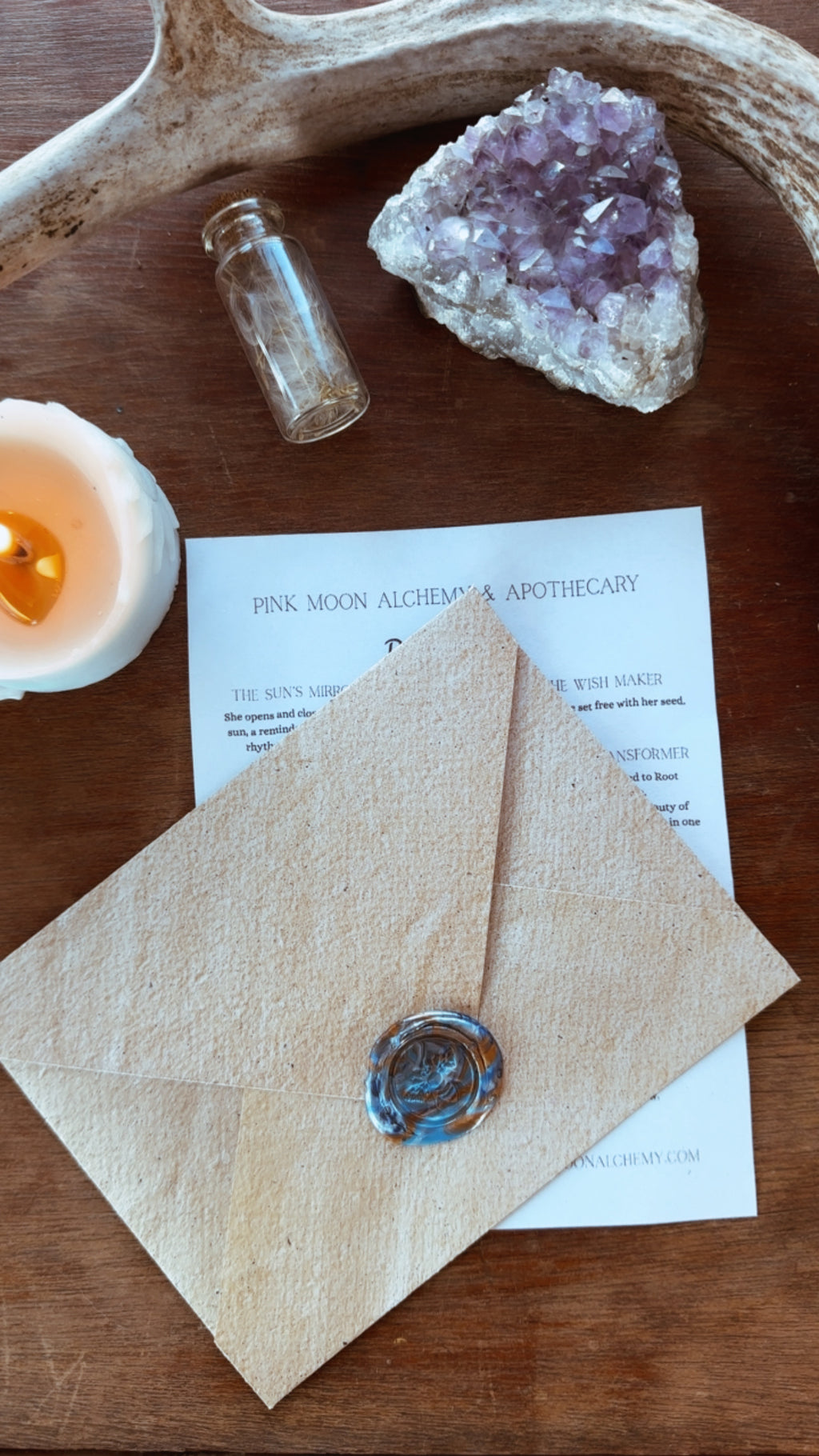 Monthly Herbal Snail Mail Subscription | Apothecary Letter | Herb of the Month Club