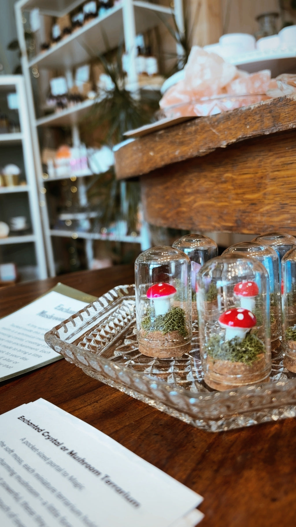Mini Crystal Mushroom Terrarium – Moss, Mushroom & Crystal Dome | Pink Moon Alchemy