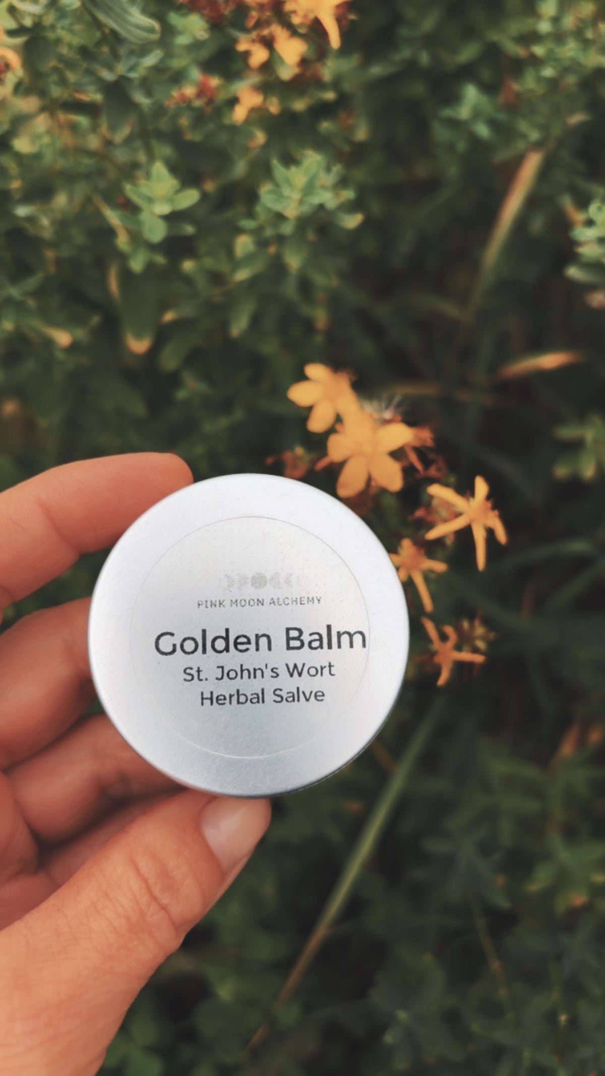 Golden Balm - St. John’s Wort Salve