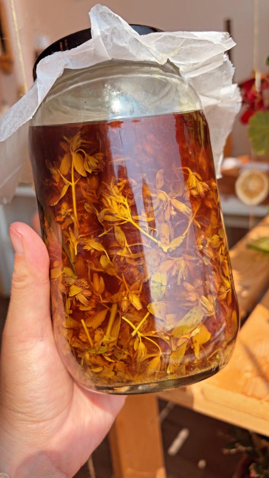 Golden Balm - St. John’s Wort Salve