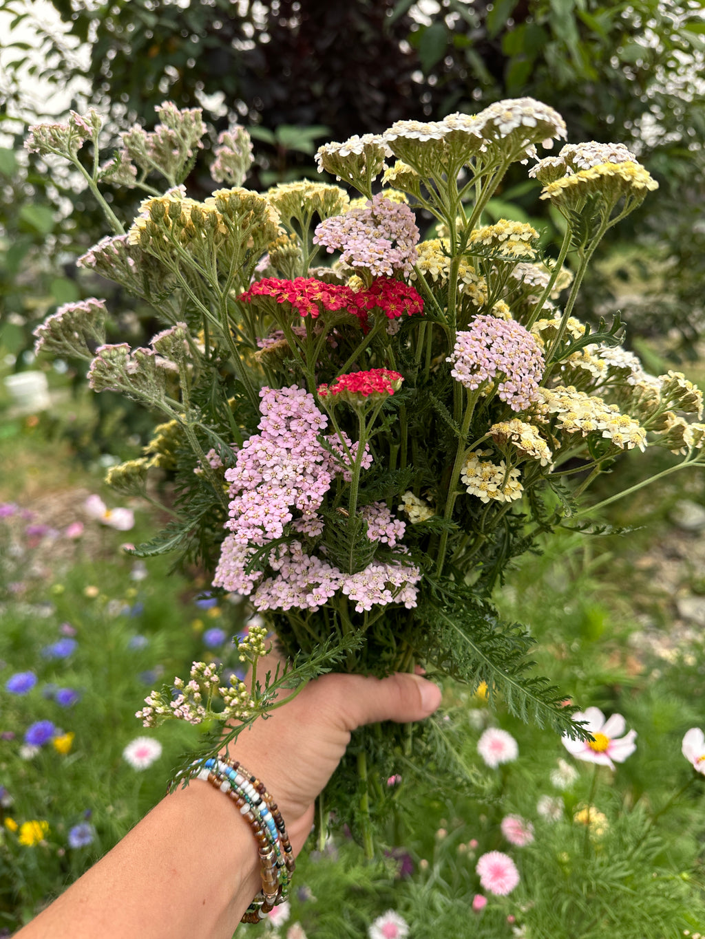 Aurashield Magnesium Mist