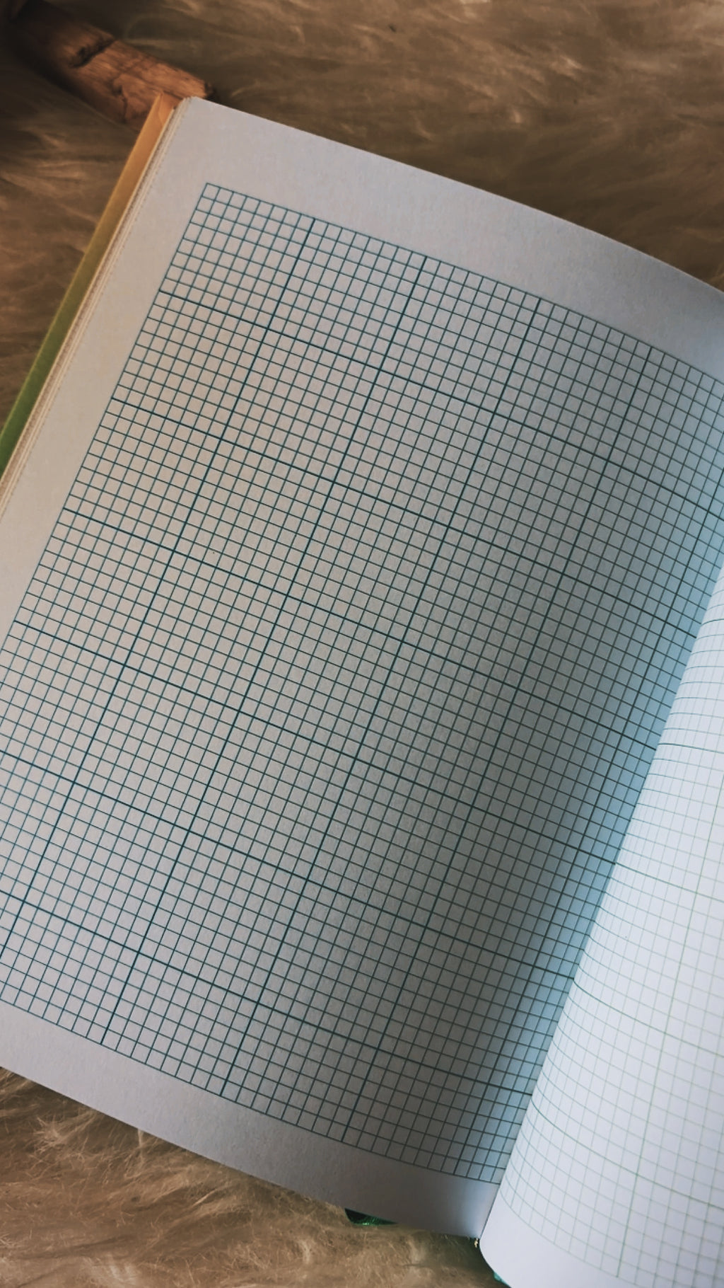 Spark Adventure Journal A Guided Journal for Dreamers, Wanderers & Wild Hearts