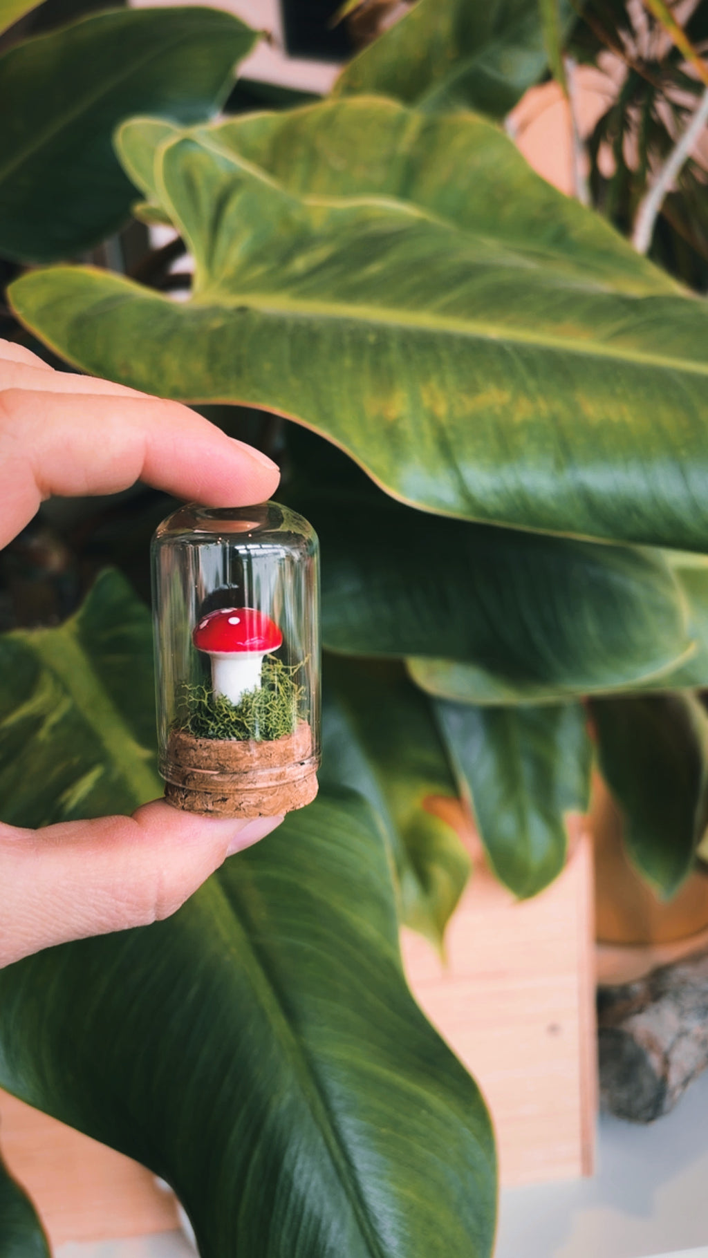 Mini Crystal Mushroom Terrarium – Moss, Mushroom & Crystal Dome | Pink Moon Alchemy