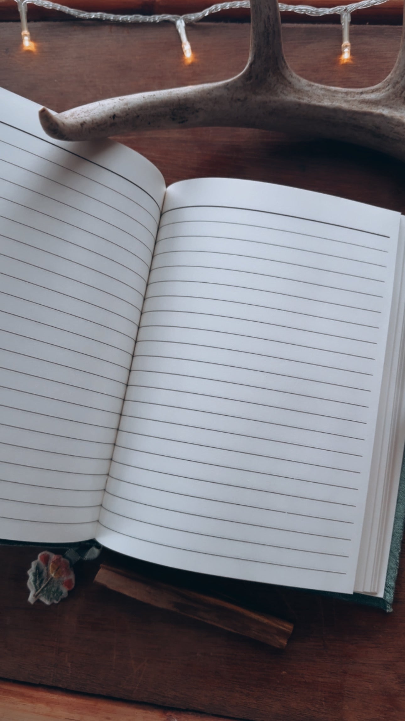 Embroidered Velvet Botanical Journal – Night Garden Edition