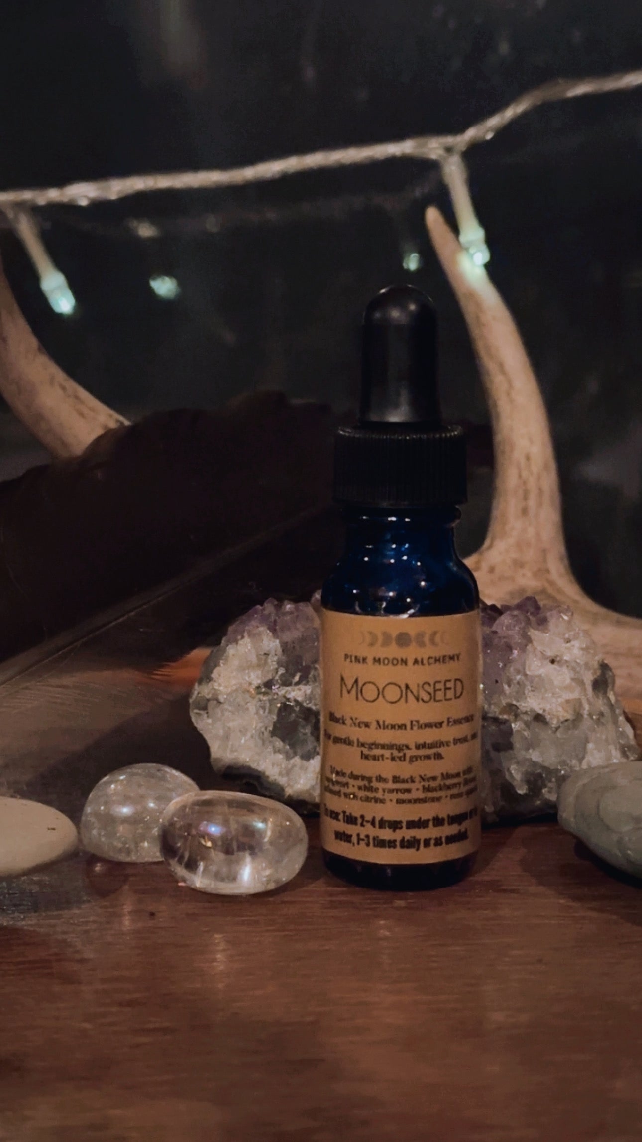 Moonseed – Black New Moon Flower Essence