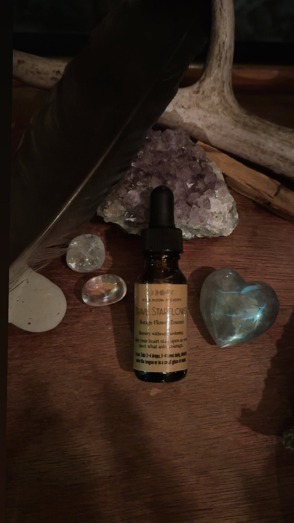 Brave Starflower – Borage Flower Essence