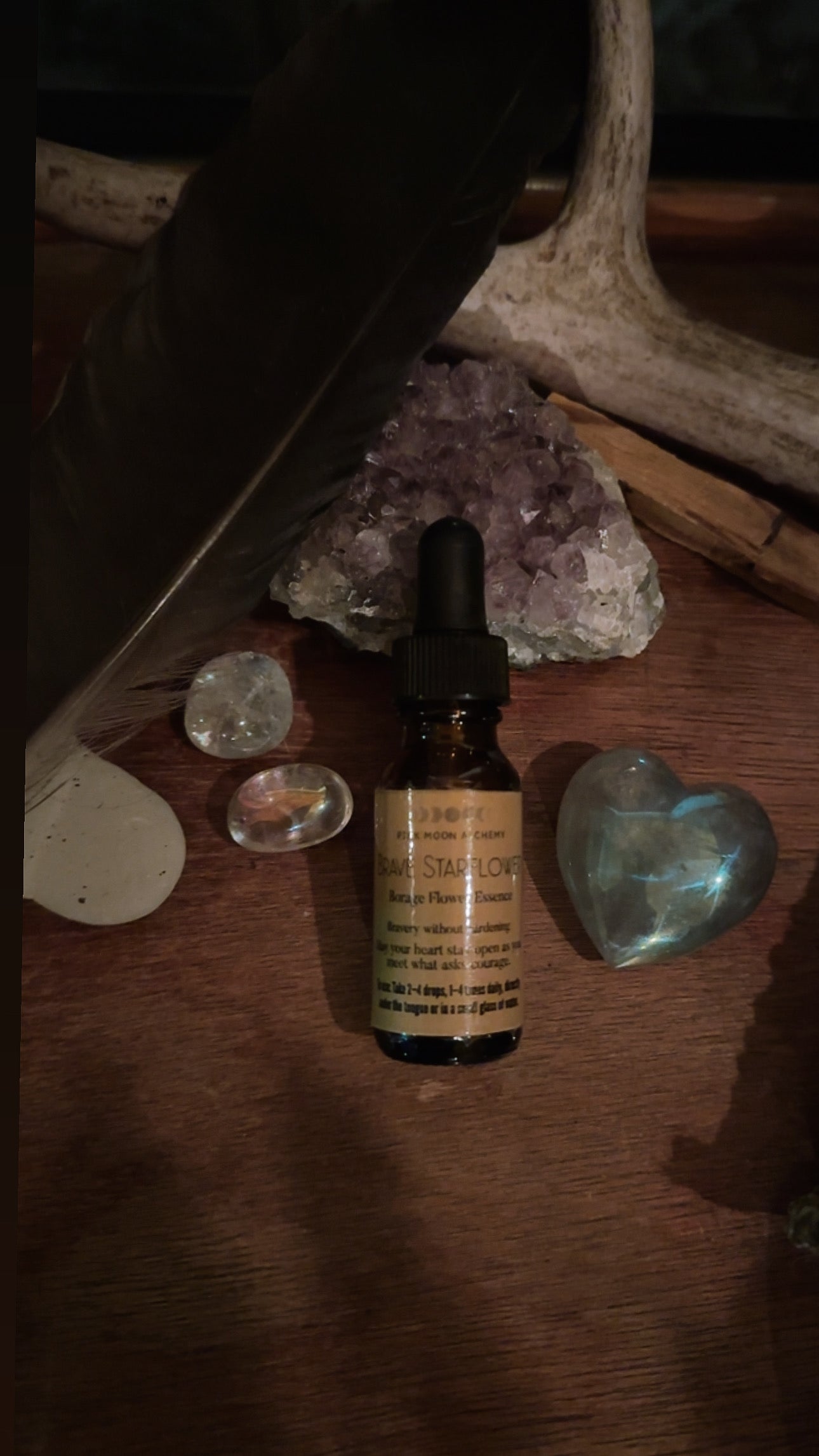 Brave Starflower – Borage Flower Essence