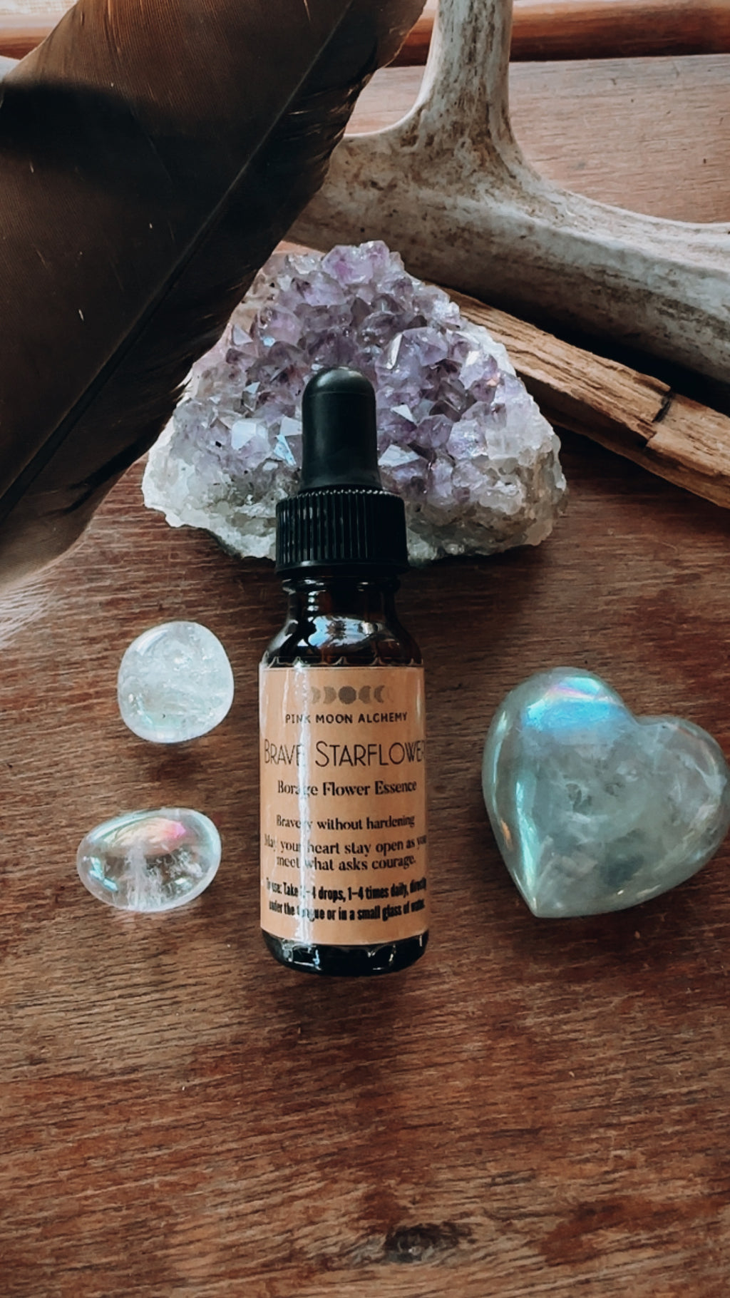 Brave Starflower – Borage Flower Essence