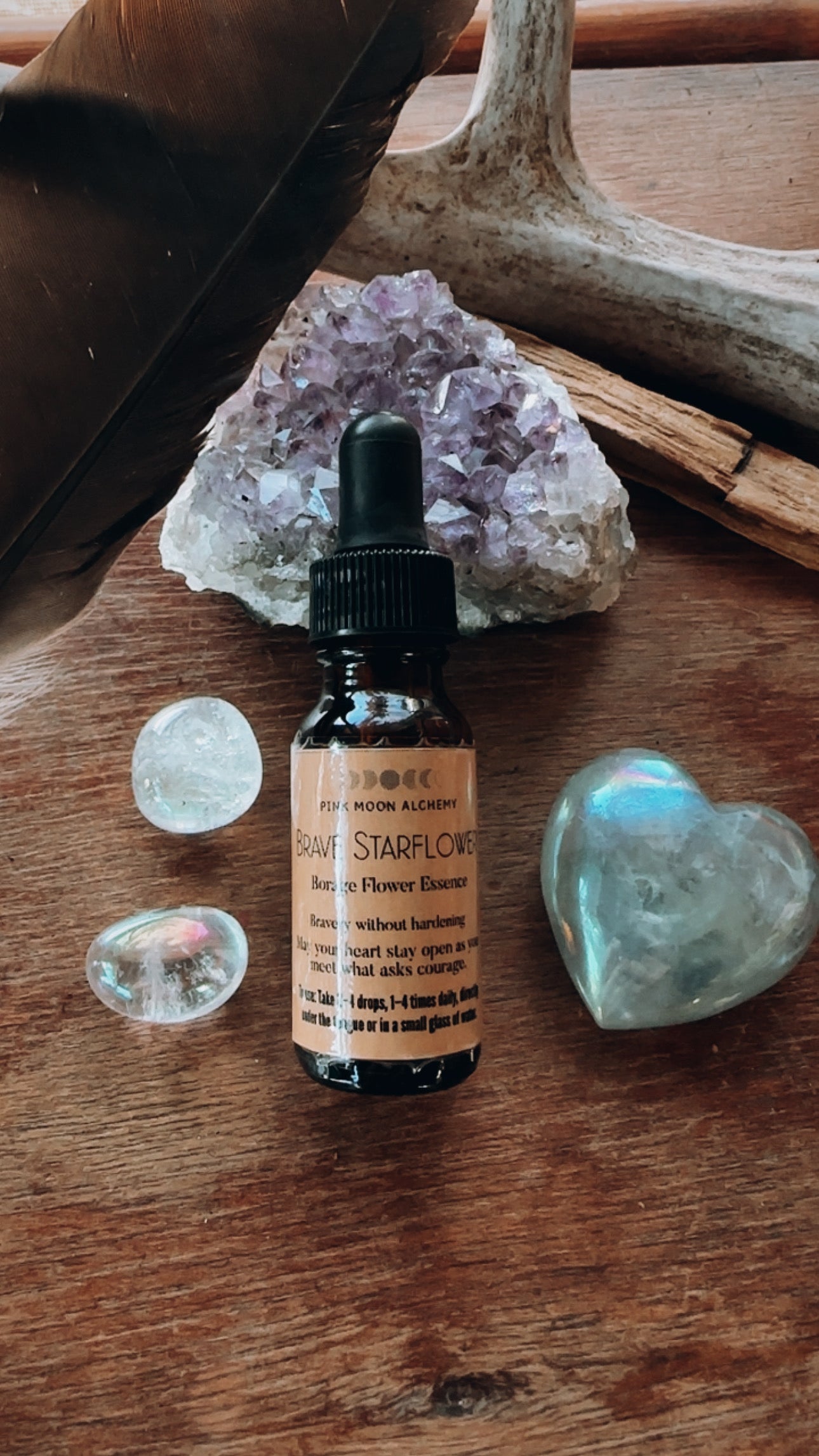 Brave Starflower – Borage Flower Essence