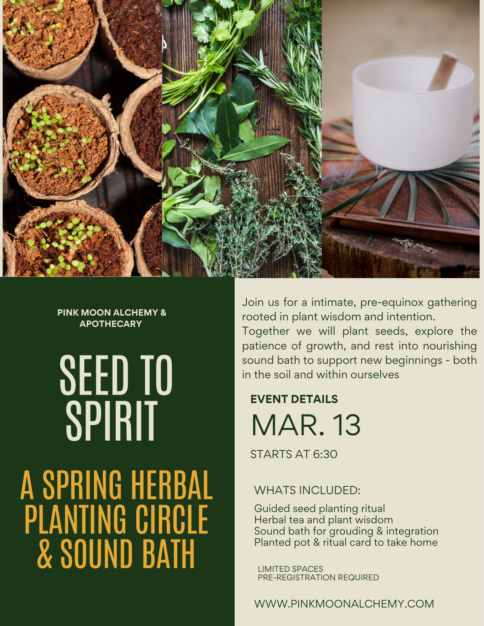 Seed to Spirit: A Spring Herbal Planting Circle + Sound Bath