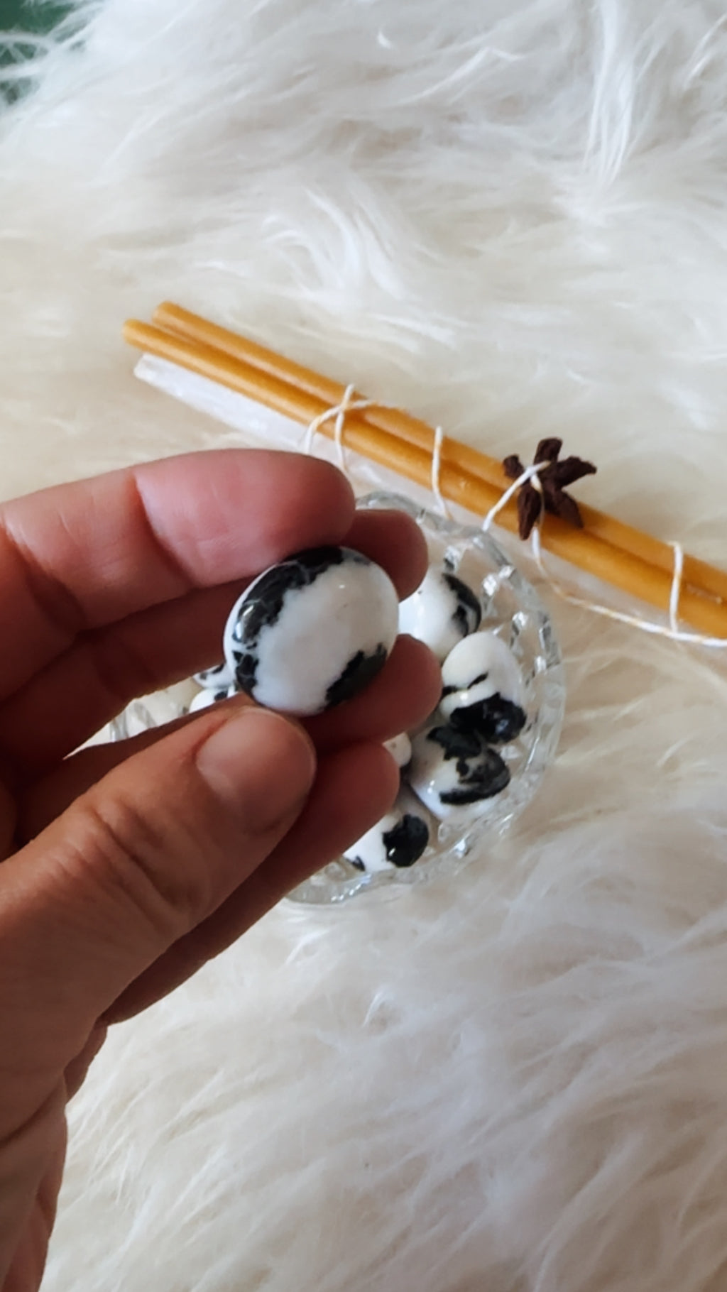 Zebra Jasper
Balance • Grounding • Gentle Motivation