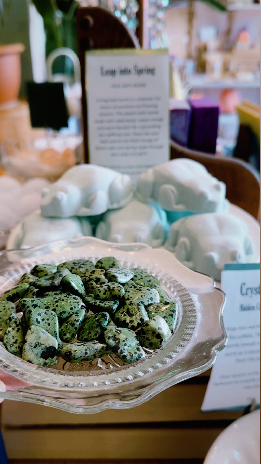 Dalmatian Jasper (Green Variation)
Grounding • Protection • Joyful Balance