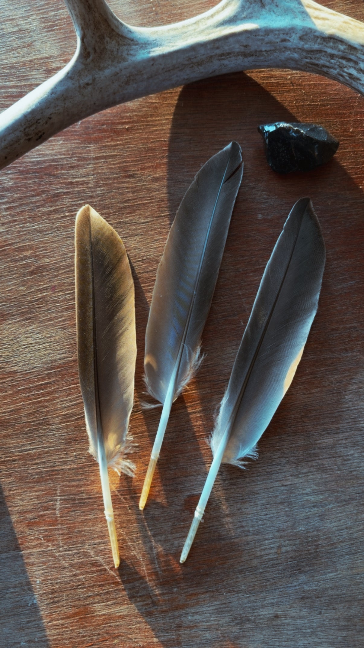 Naturally Gathered Duck Feathers

For Smoke Cleansing • Altar Decor • Nature Crafts
