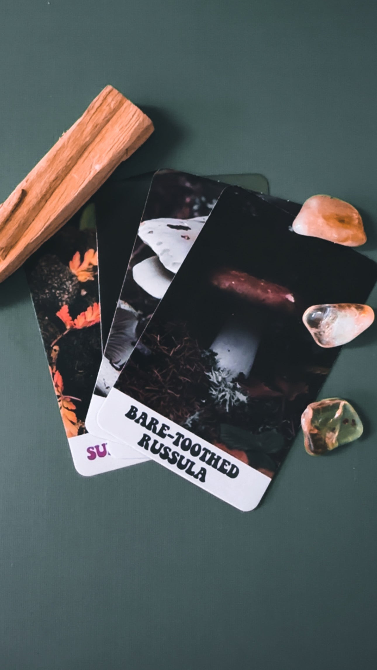 Mystery Mushroom Messenger Card