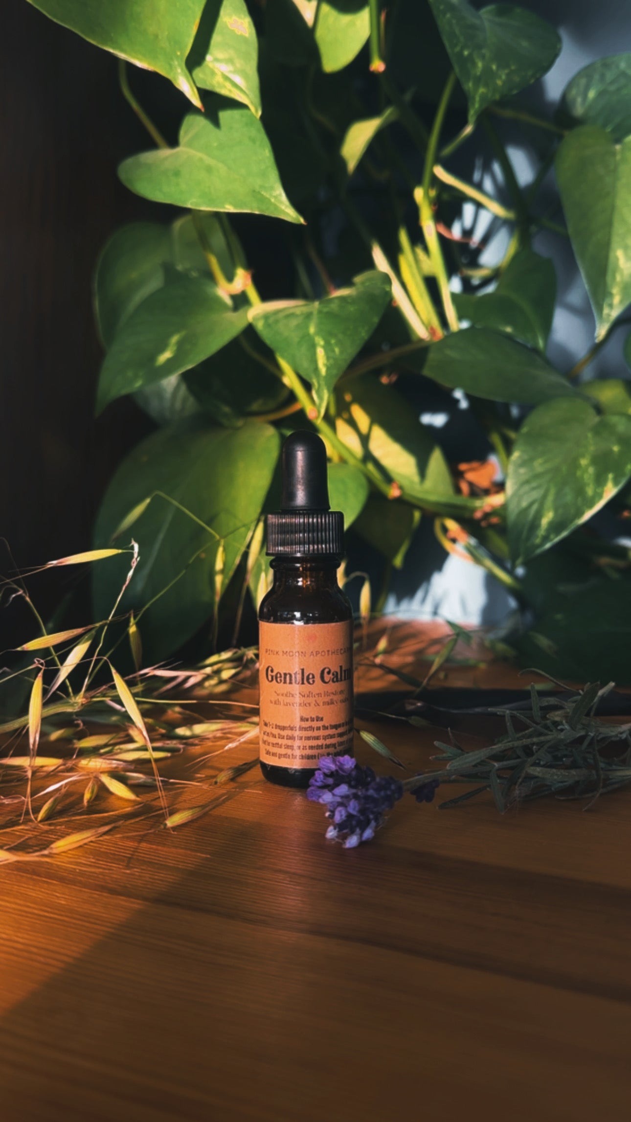 Gentle Calm Herbal Remedy with Lavender & Milky Oats for Sleep & Relaxation