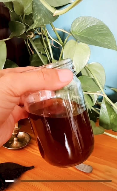 Hand holding a small glass container with mugwort liquid against a green leafy background