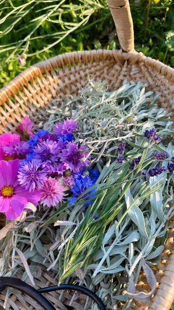 Basket with a mix of flowers including lavender, pink, and blue flowers.